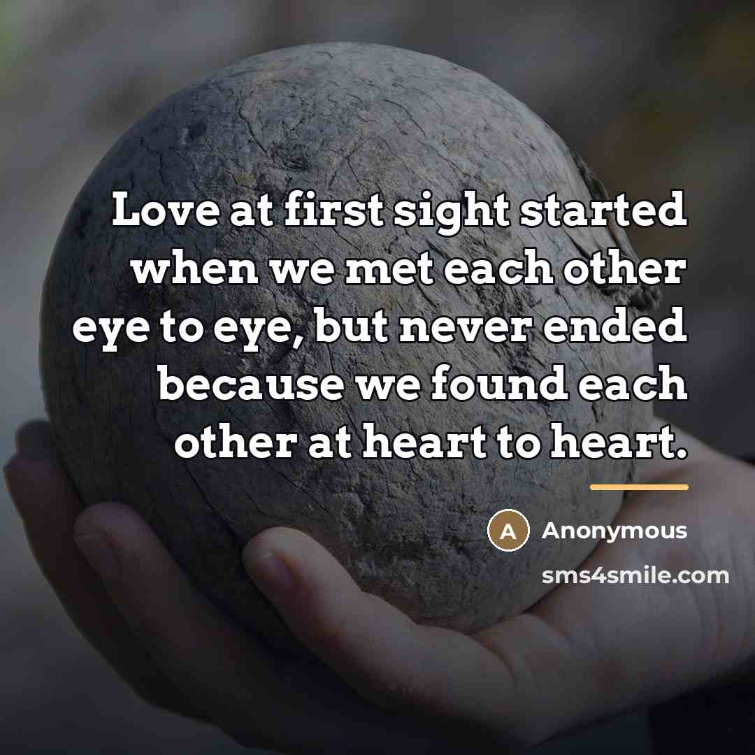 “Love at first sight started when we met each other…” quote by Anonymous