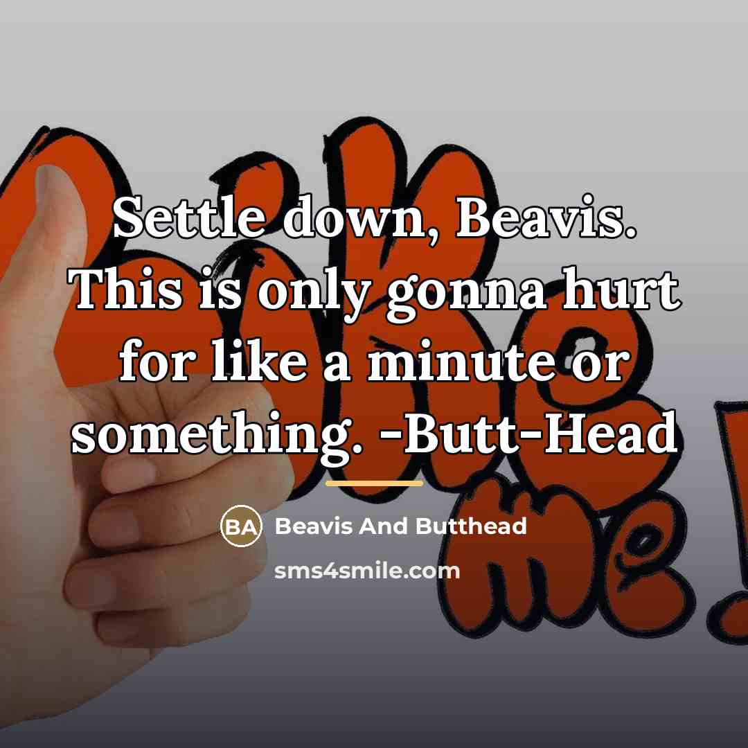 “Settle down, Beavis. This is only gonna hurt for like…” quote by Beavis And Butthead