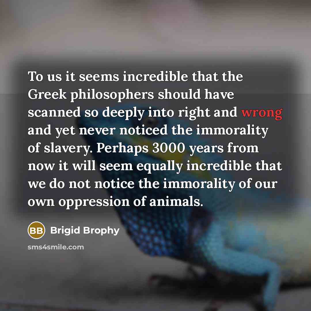 “To us it seems incredible that the Greek philosophers should…” quote by Brigid Brophy