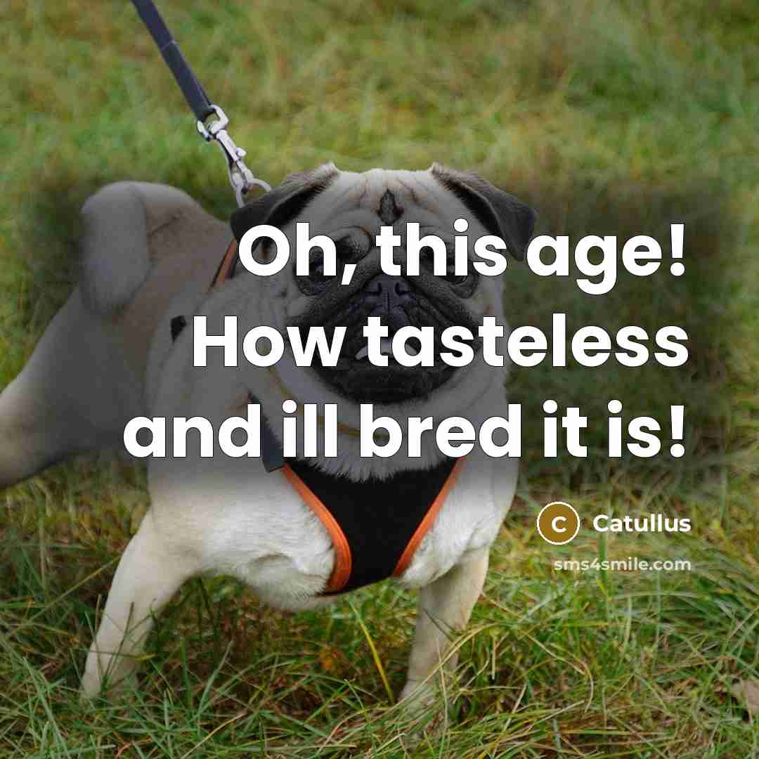 “Oh, this age! How tasteless and ill bred it is!…” quote by Catullus