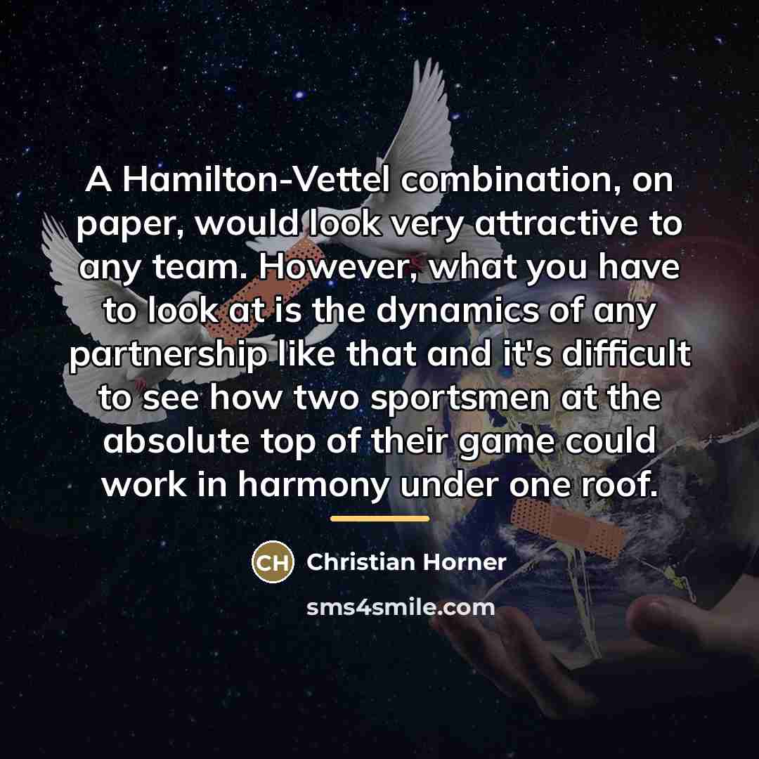 “A Hamilton-Vettel combination, on paper, would look very attractive to…” quote by Christian Horner