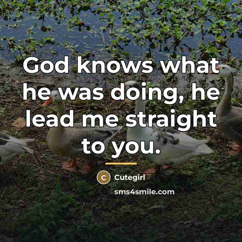 “God knows what he was doing, he lead me straight…” quote by Cutegirl