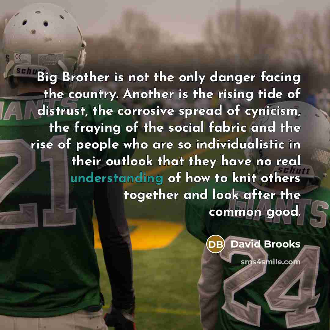 “Big Brother is not the only danger facing the country.…” quote by David Brooks
