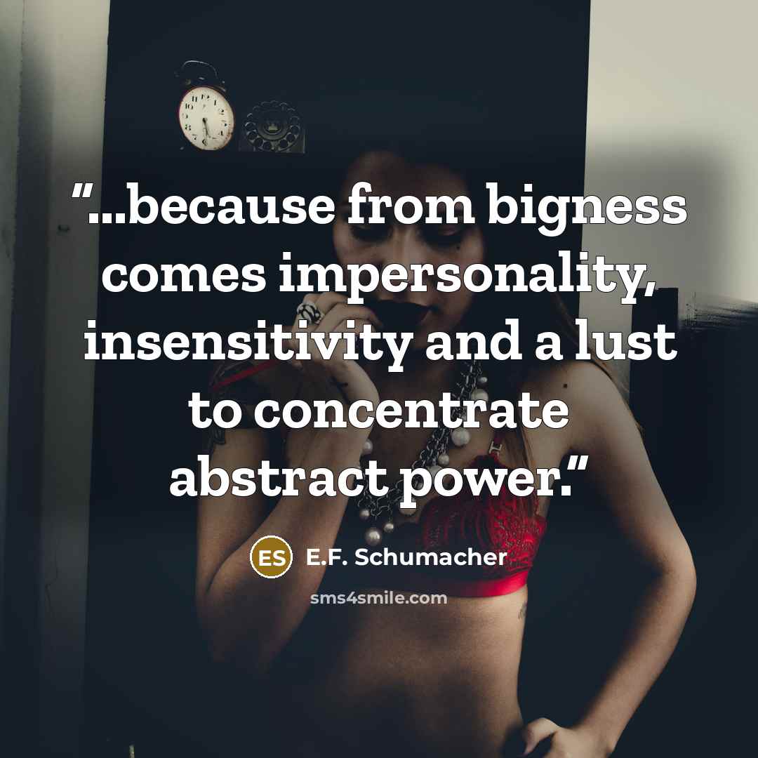 “...because from bigness comes impersonality, insensitivity and a lust to concentrate abstract power.” quote by E.F. Schumacher