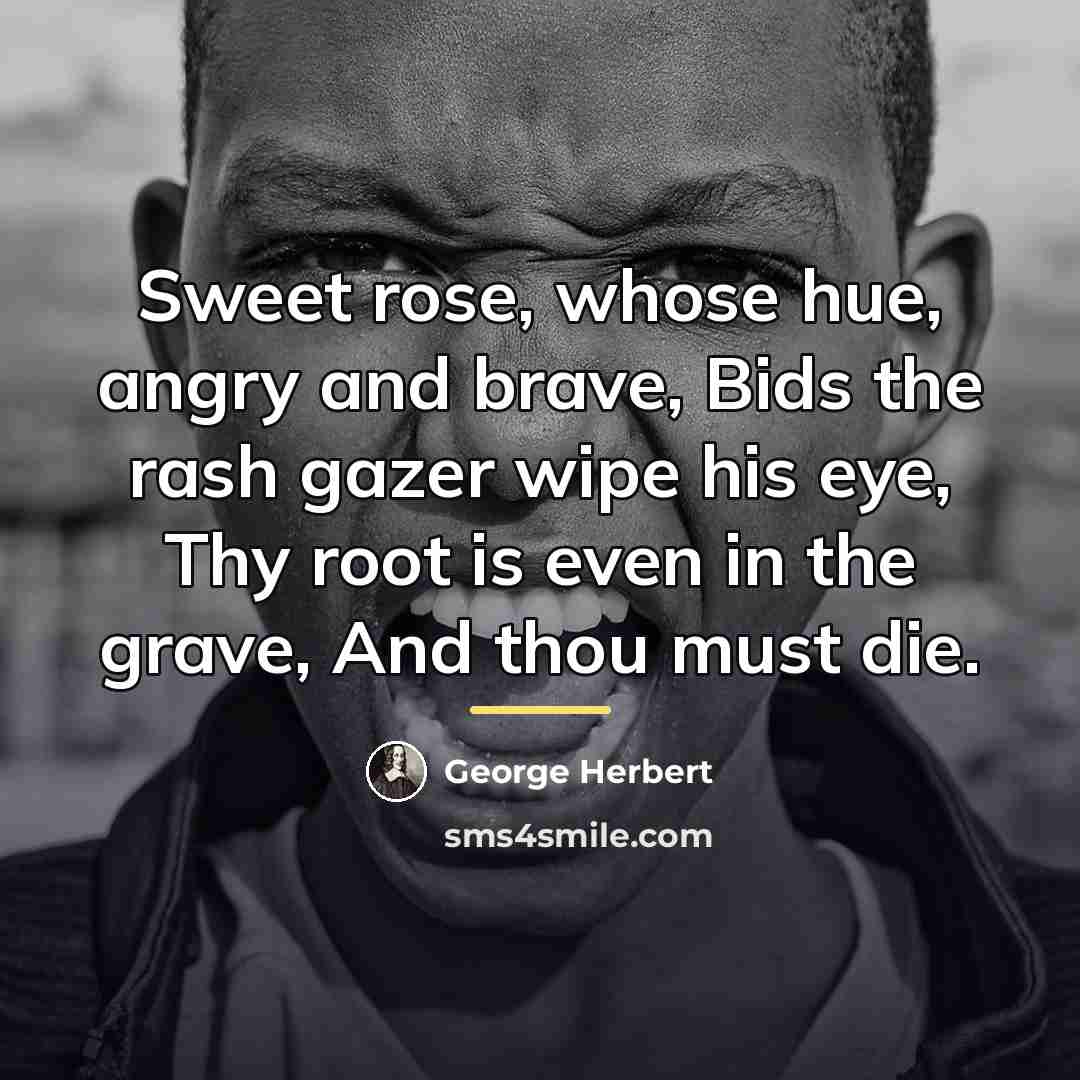 “Sweet rose, whose hue, angry and brave, Bids the rash…” quote by George Herbert