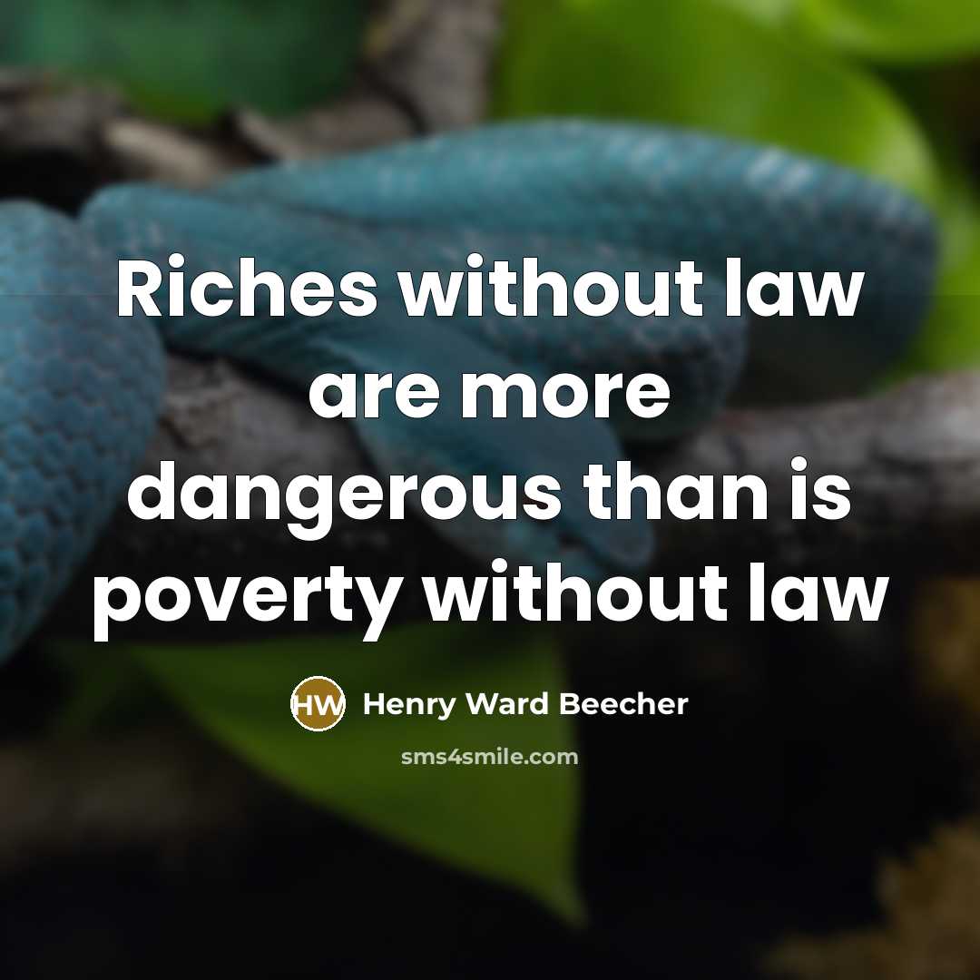 “Riches without law are more dangerous than is poverty without…” quote by Henry Ward Beecher