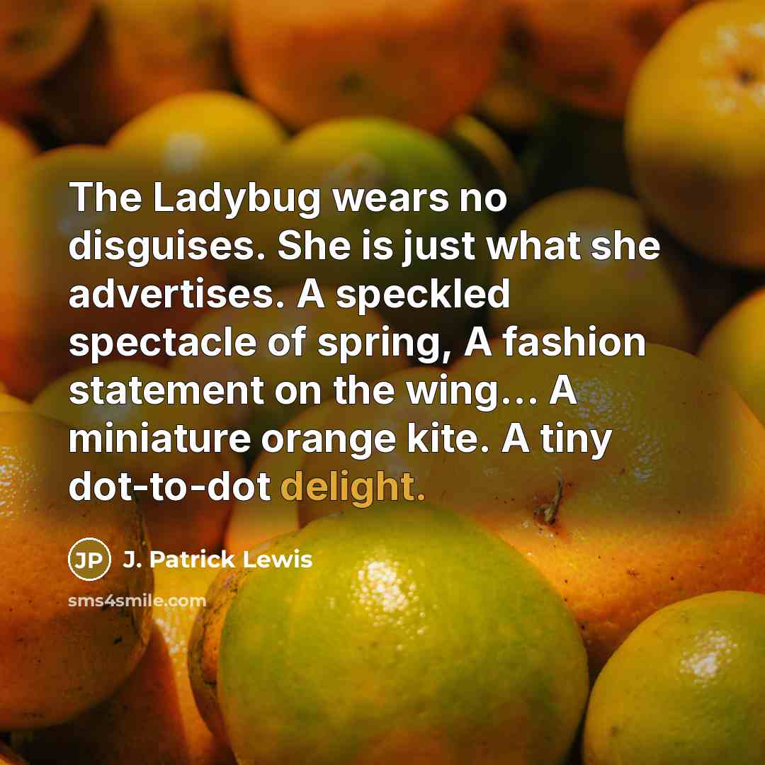 “The Ladybug wears no disguises. She is just what she…” quote by J. Patrick Lewis