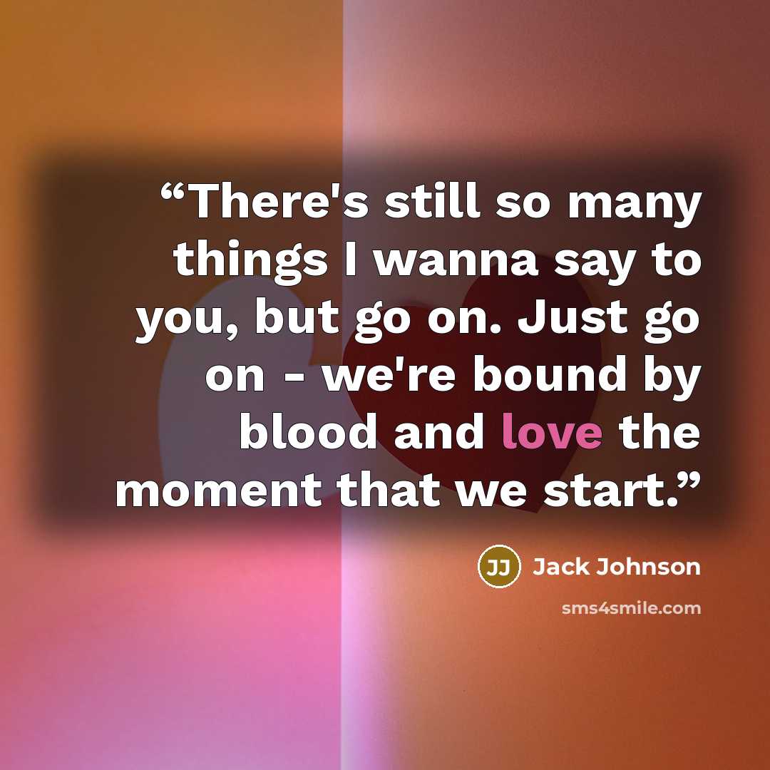 “There's still so many things I wanna say to you, but go on. Just go on - we're bound by blood and love the moment that we start.” quote by Jack Johnson