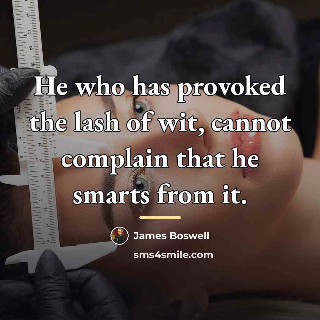“He who has provoked the lash of wit, cannot complain…” quote by James Boswell