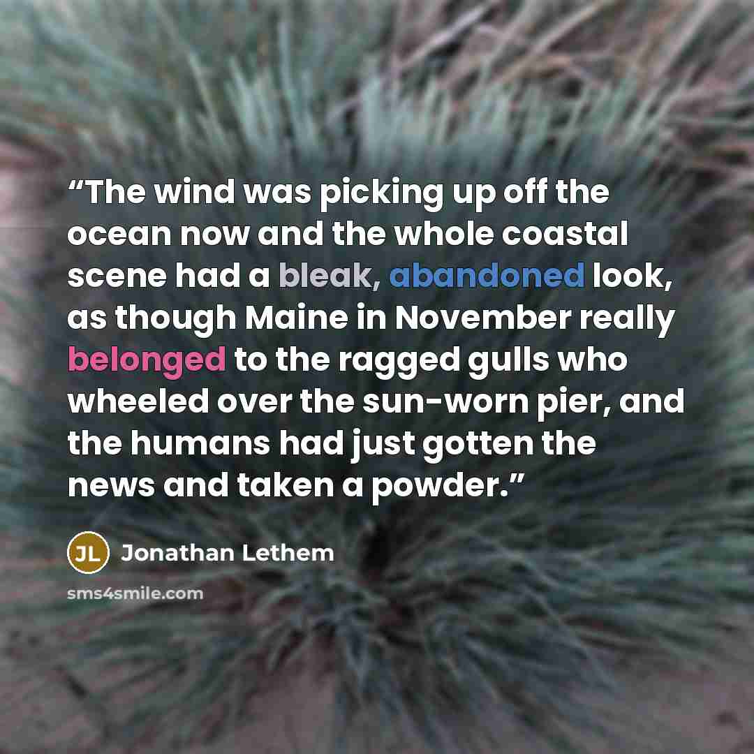 “The wind was picking up off the ocean now and the whole coastal scene had a bleak, abandoned look, as though Maine in November really belonged to the ragged gulls who wheeled over the sun-worn pier, and the humans had just gotten the news and taken a powder.” quote by Jonathan Lethem
