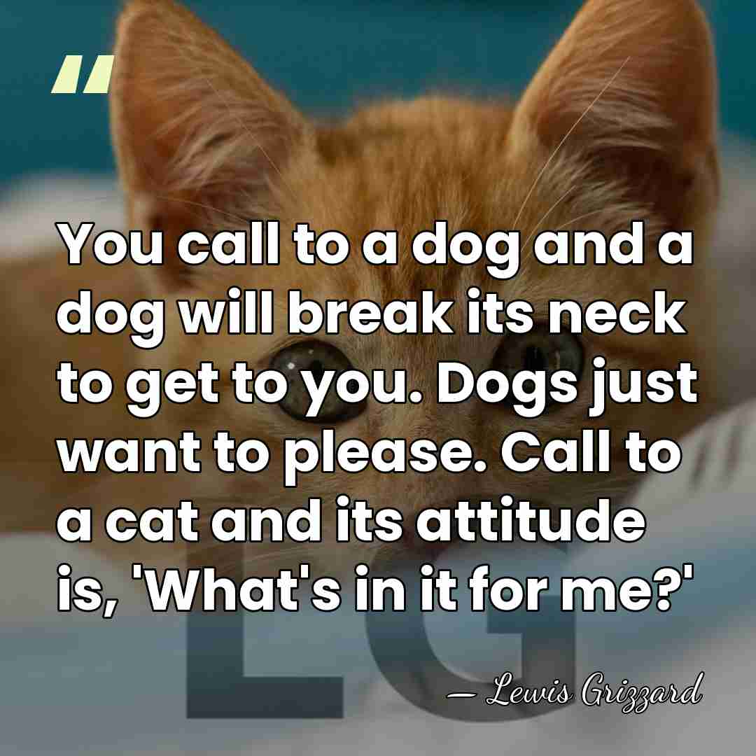You call to a dog and a dog will break its neck&hellip; - Lewis Grizzard