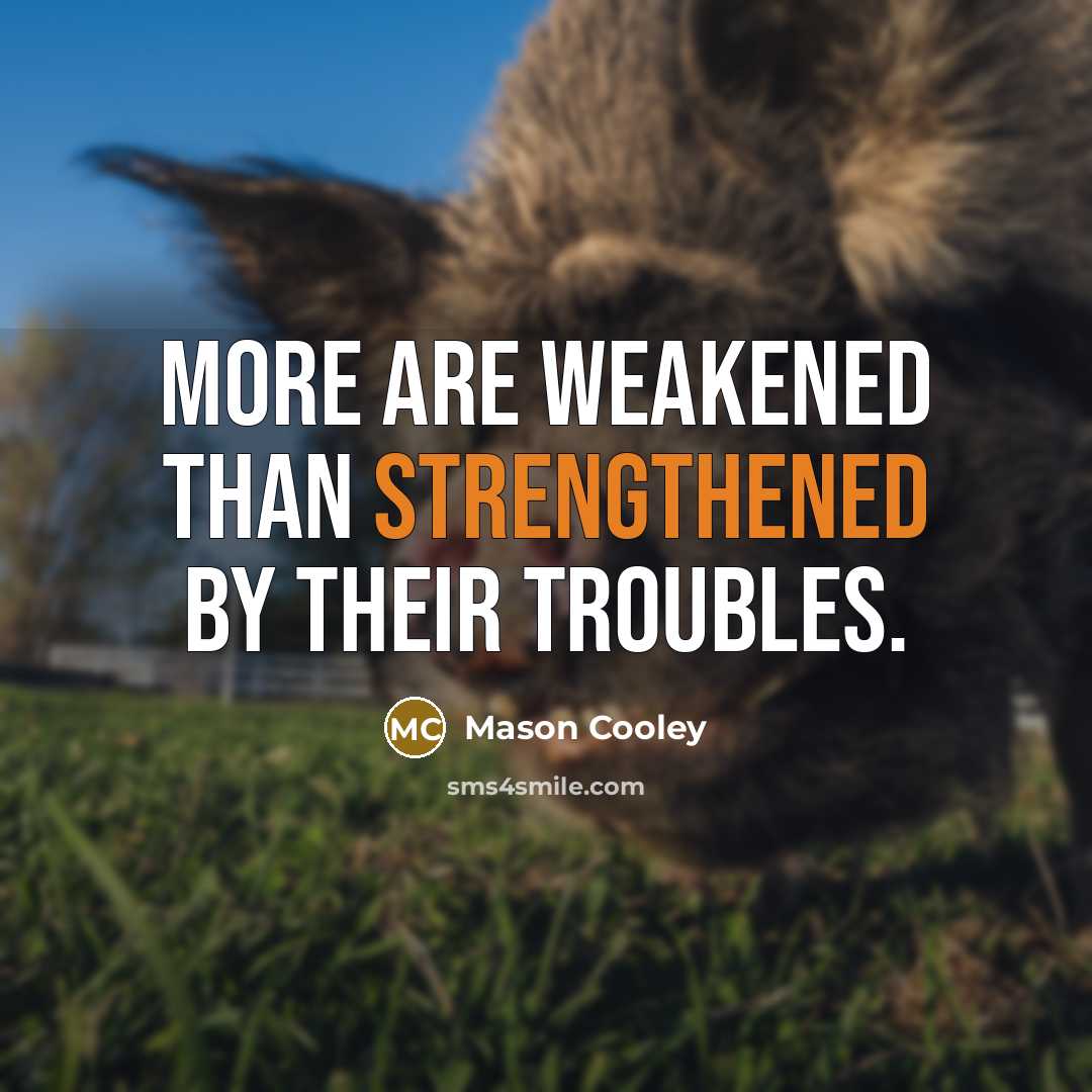 “More are weakened than strengthened by their troubles.” quote by Mason Cooley