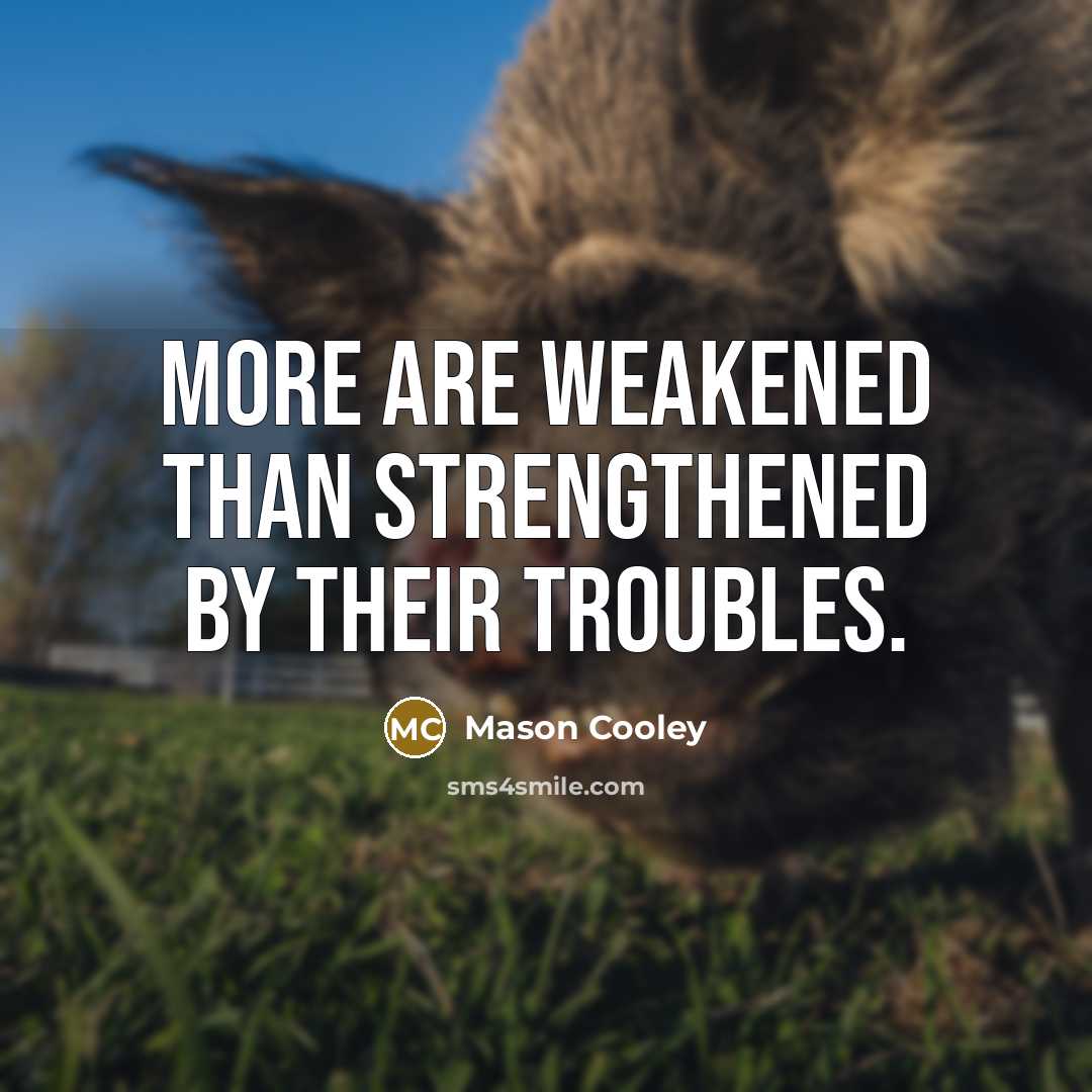 “More are weakened than strengthened by their troubles.…” quote by Mason Cooley