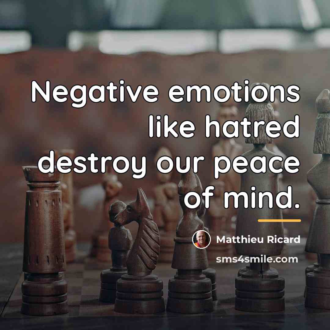 “Negative emotions like hatred destroy our peace of mind.…” quote by Matthieu Ricard