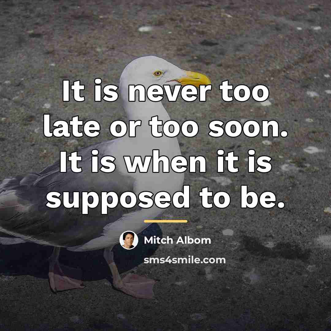 “It is never too late or too soon. It is…” quote by Mitch Albom