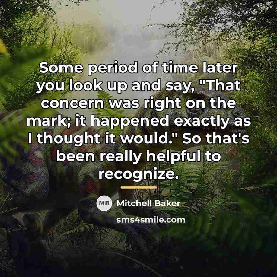 “Some period of time later you look up and say,…” quote by Mitchell Baker