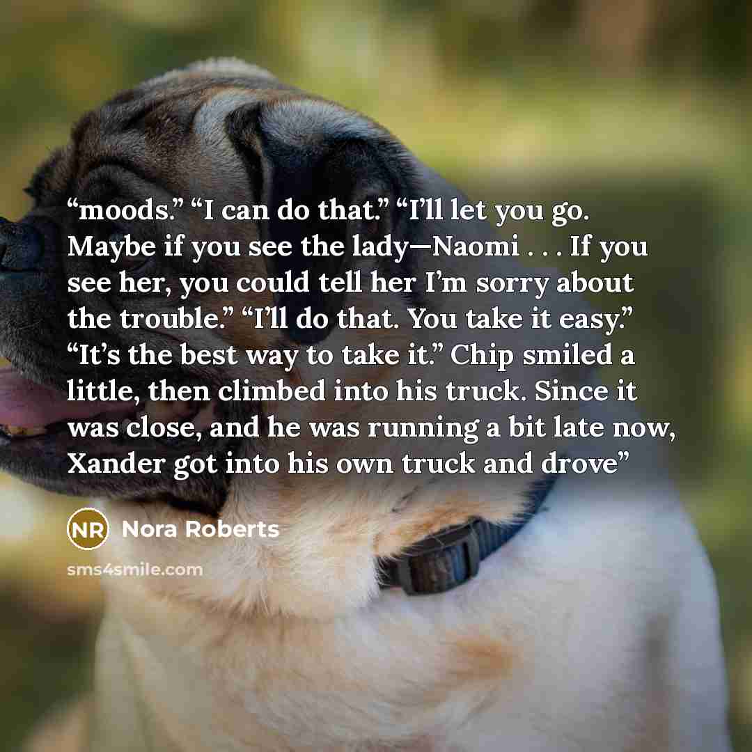 “moods.” “I can do that.” “I’ll let you go. Maybe if you see the lady—Naomi . . . If you see her, you could tell her I’m sorry about the trouble.” “I’ll do that. You take it easy.” “It’s the best way to take it.” Chip smiled a little, then climbed into his truck. Since it was close, and he was…” quote by Nora Roberts