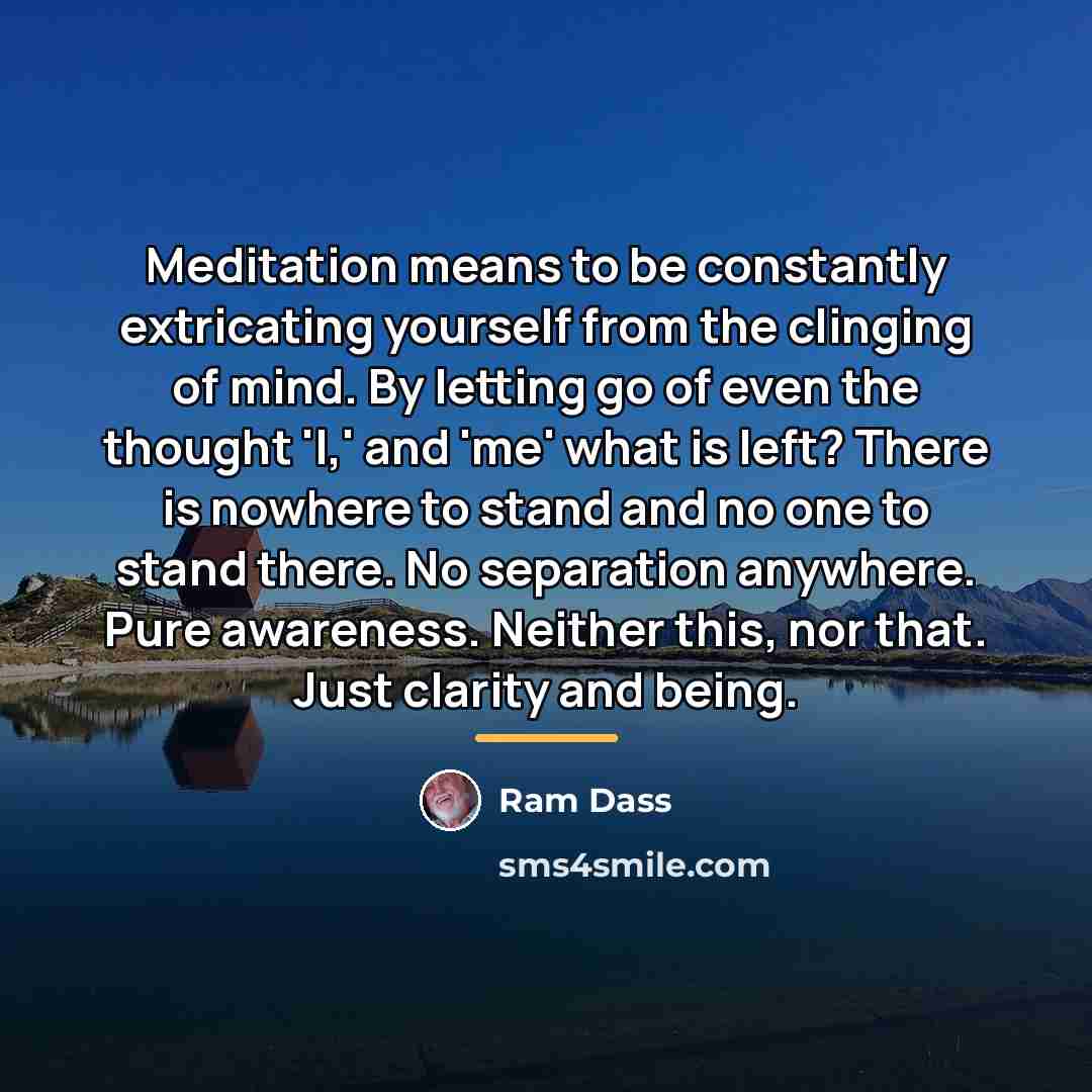 “Meditation means to be constantly extricating yourself from the clinging…” quote by Ram Dass