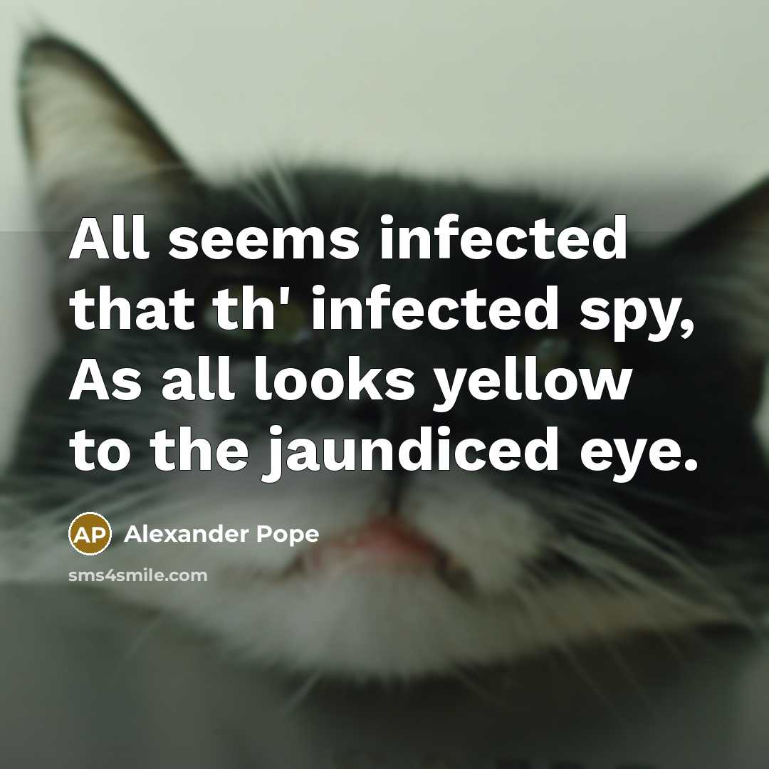 “All seems infected that th' infected spy, As all looks…” quote by Alexander Pope