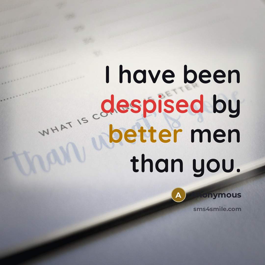 “I have been despised by better men than you.” quote by Anonymous