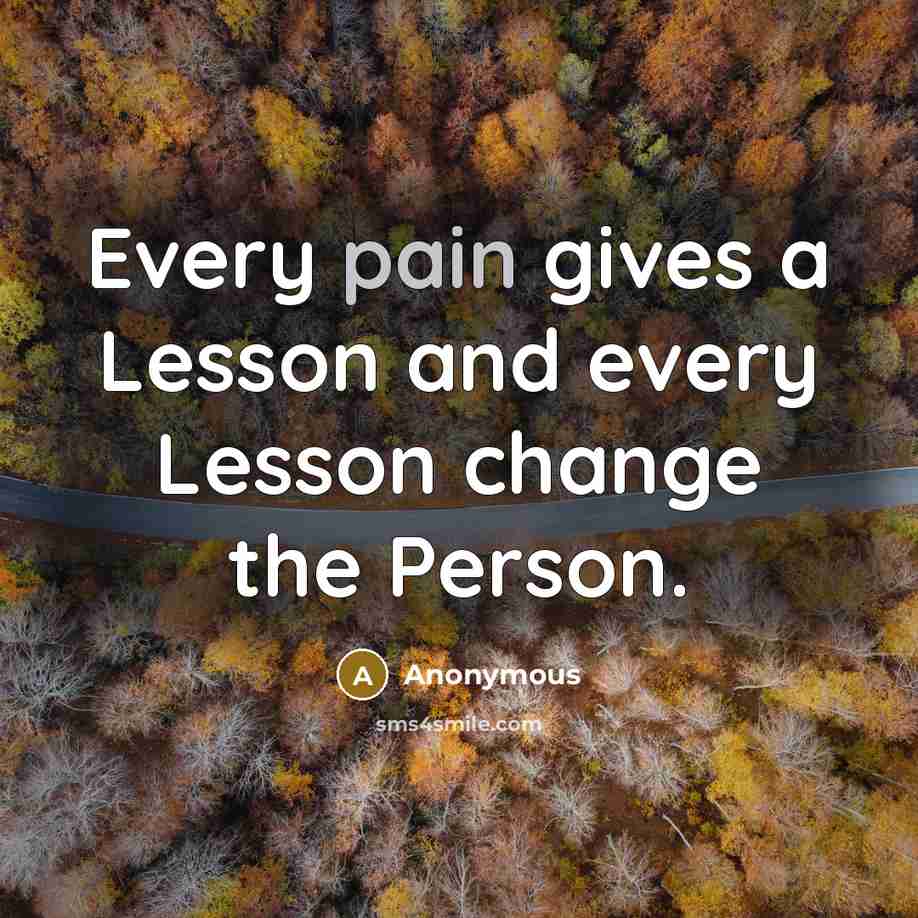 “Every pain gives a Lesson and every Lesson change the…” quote by Anonymous