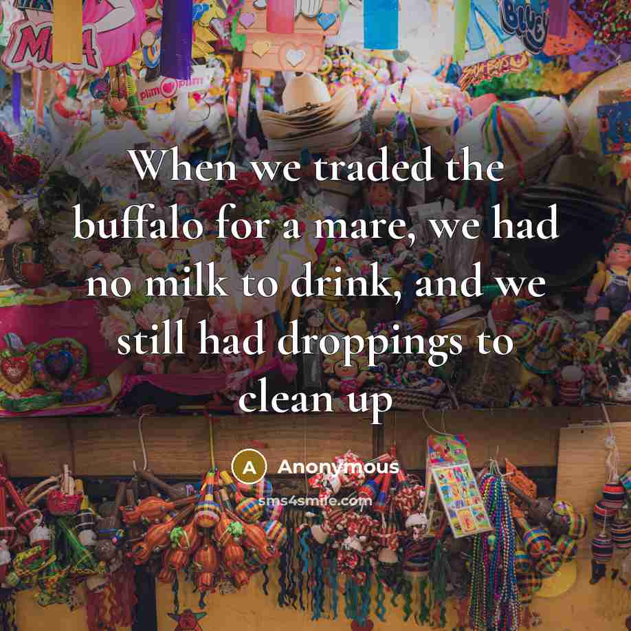 “When we traded the buffalo for a mare, we had…” quote by Anonymous