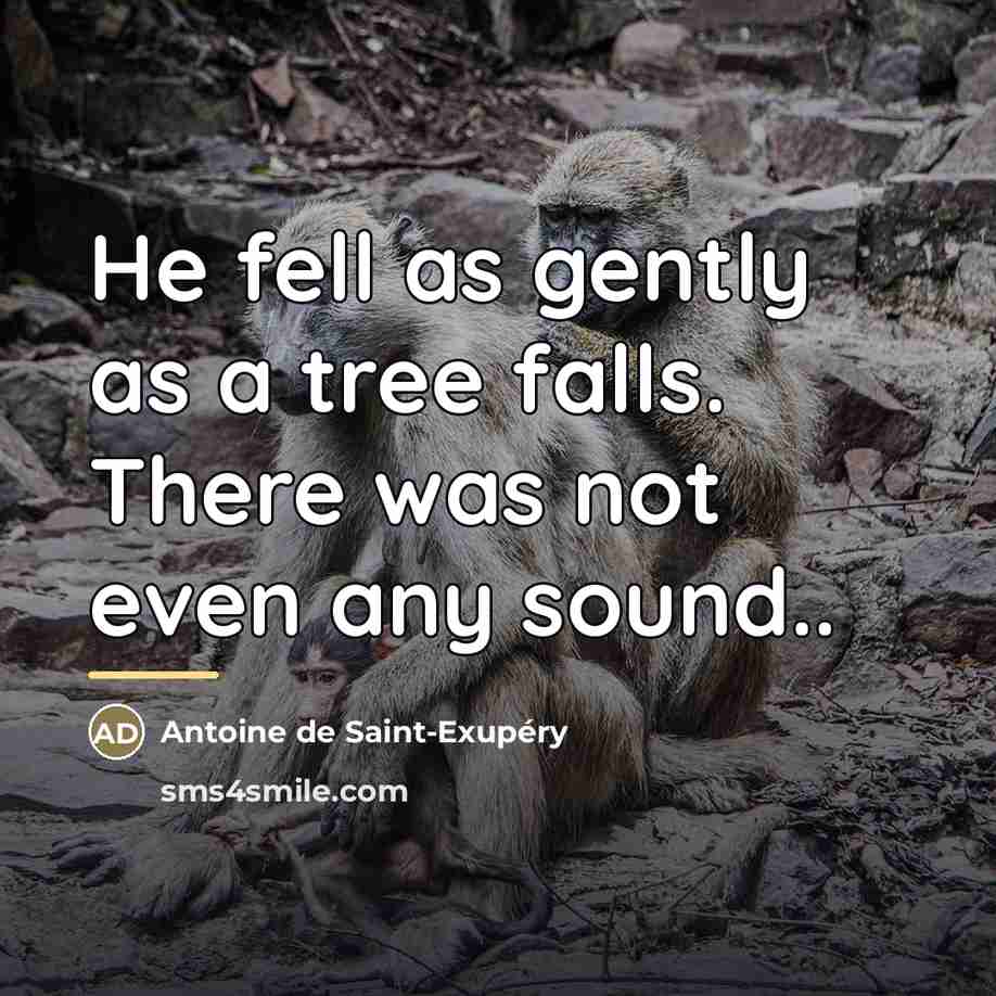 “He fell as gently as a tree falls. There was…” quote by Antoine de Saint-Exupery