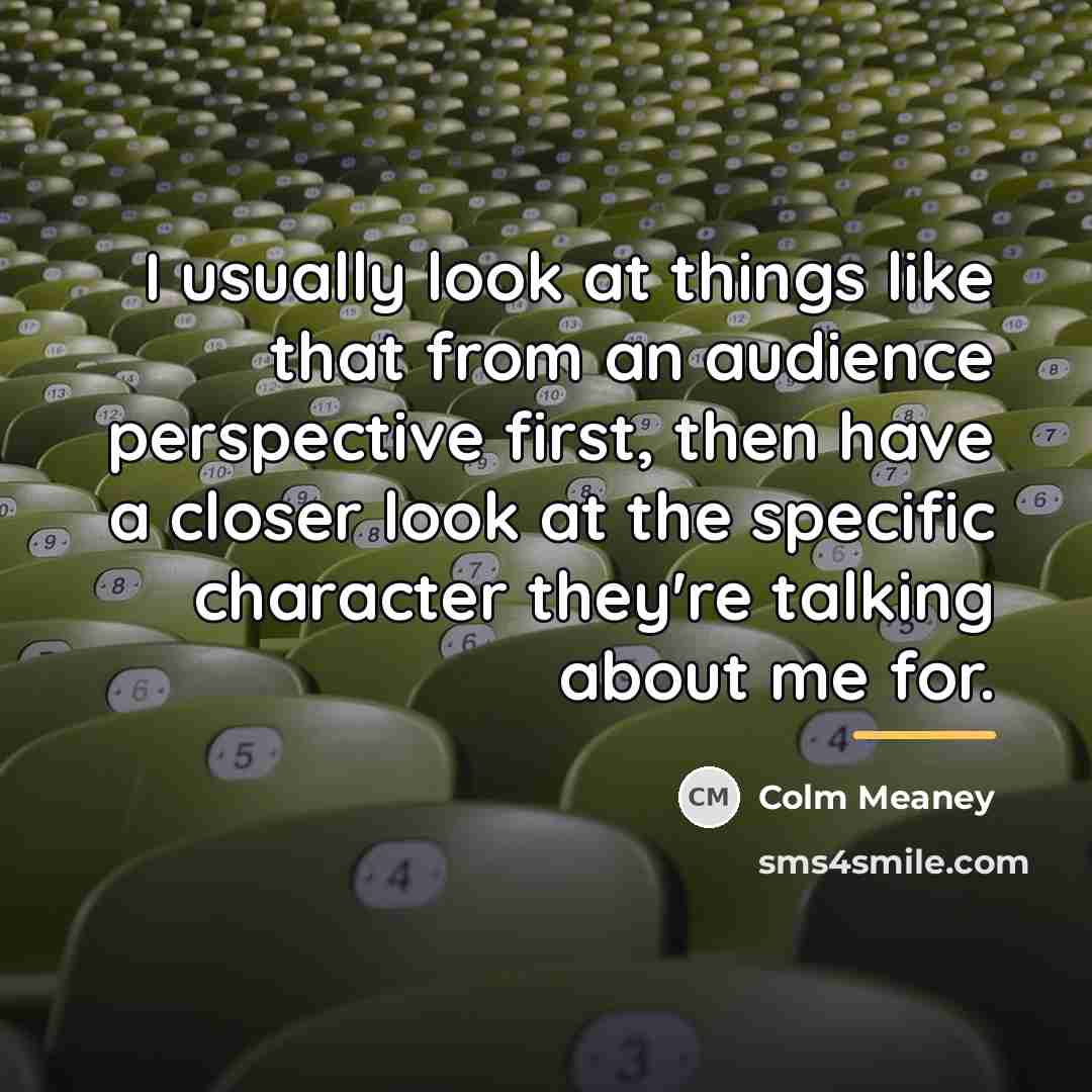 “I usually look at things like that from an audience…” quote by Colm Meaney