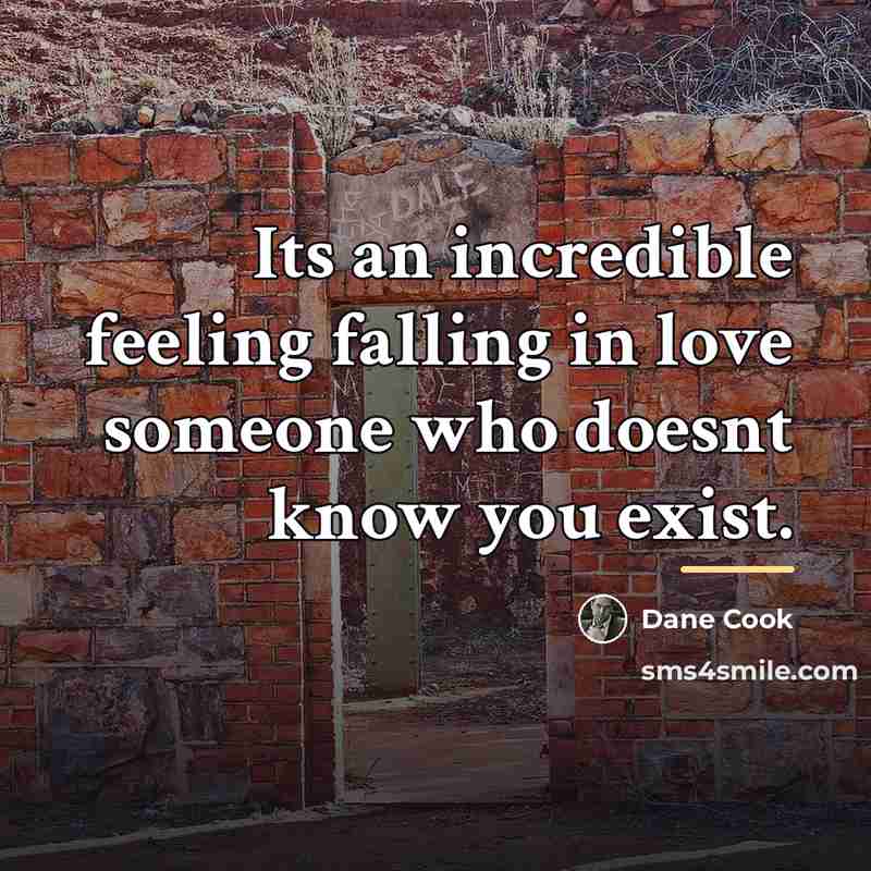 “Its an incredible feeling falling in love someone who doesnt…” quote by Dane Cook