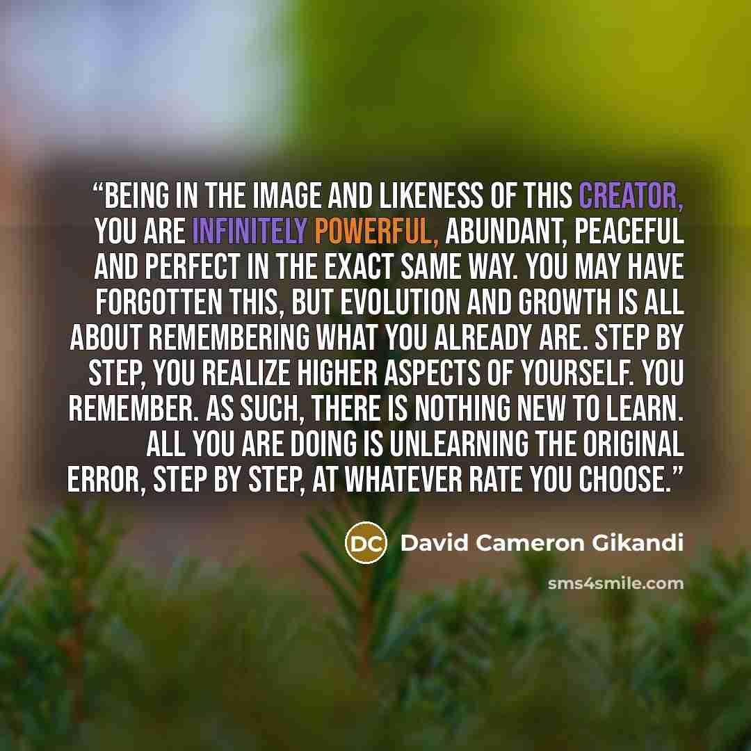 “Being in the image and likeness of this Creator, you are infinitely powerful, abundant, peaceful and perfect in the exact same way. You may have forgotten this, but evolution and growth is all about remembering what you already are. Step by step, you realize higher aspects of yourself. You…” quote by David Cameron Gikandi