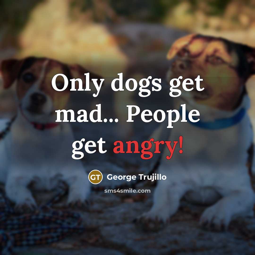 “Only dogs get mad... People get angry!” quote by George Trujillo