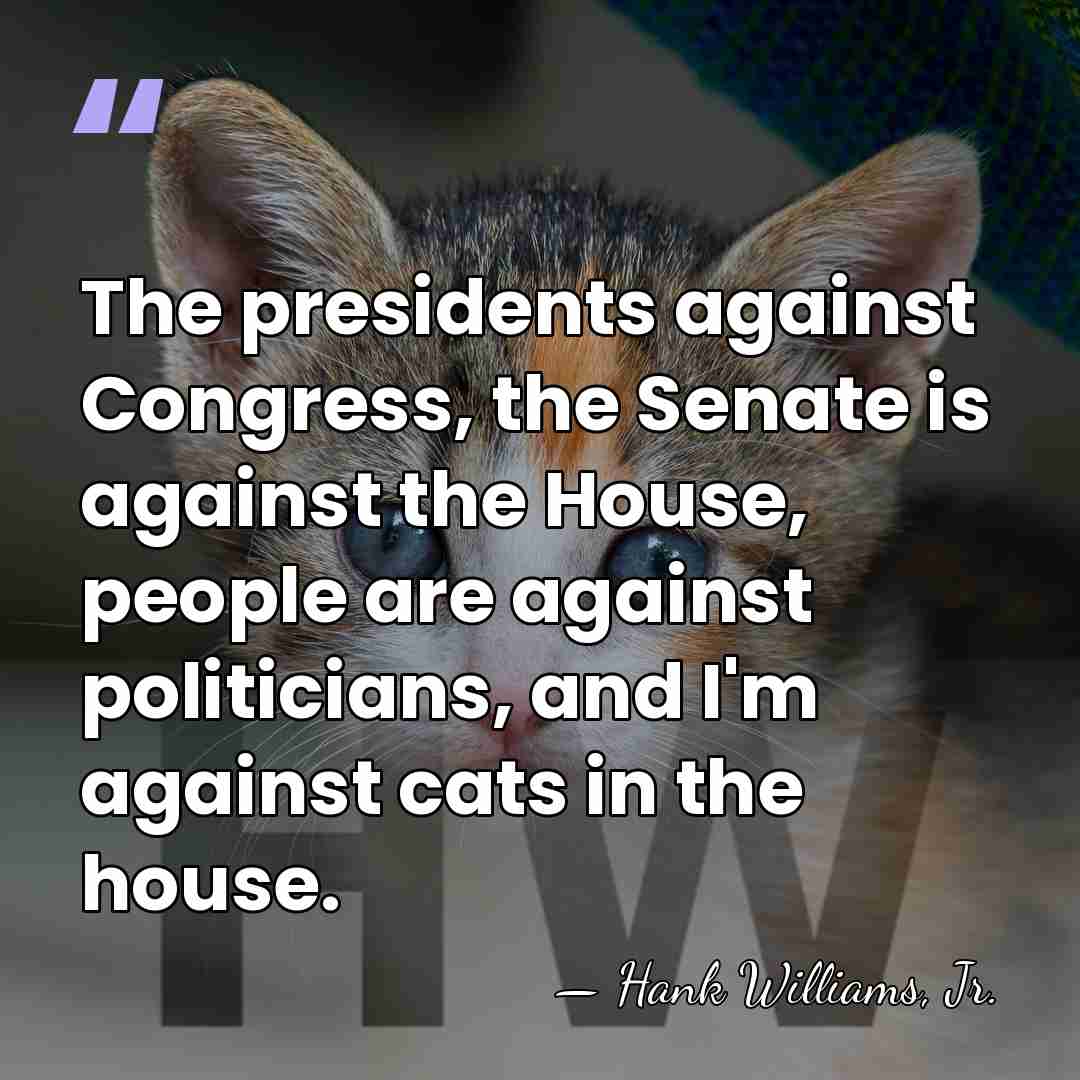 The presidents against Congress, the Senate is against the House, people are&hellip; - Hank Williams, Jr.
