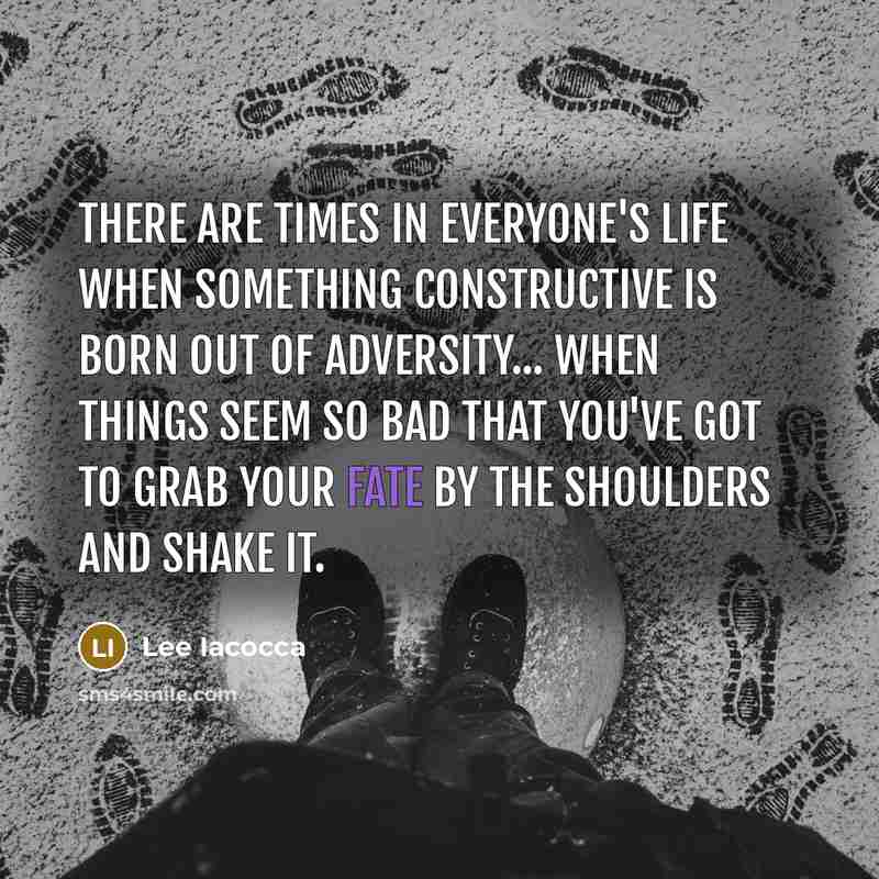 “There are times in everyone's life when something constructive is…” quote by Lee Iacocca