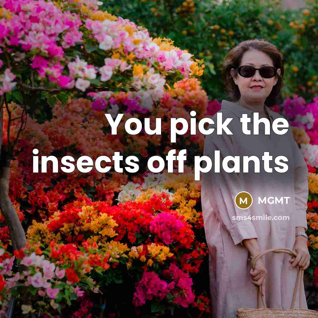 “You pick the insects off plants…” quote by MGMT