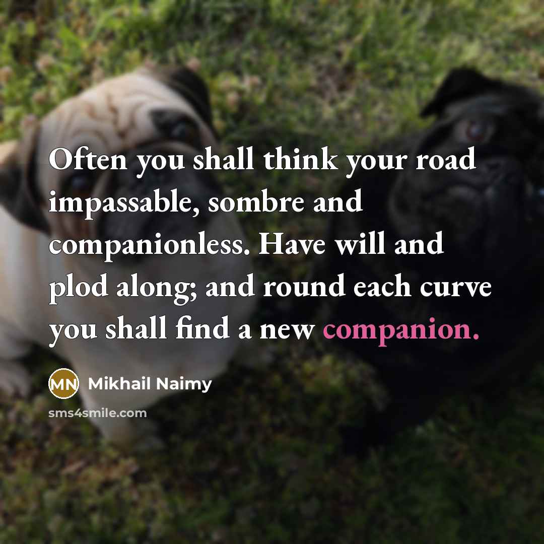 “Often you shall think your road impassable, sombre and companionless.…” quote by Mikhail Naimy