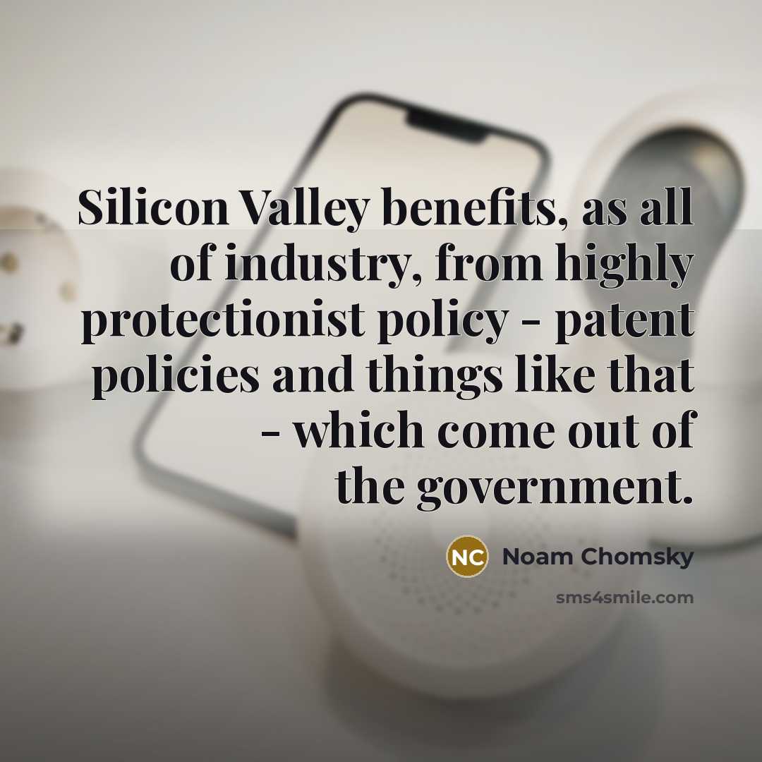 “Silicon Valley benefits, as all of industry, from highly protectionist…” quote by Noam Chomsky