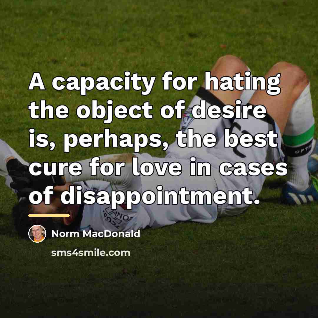 “A capacity for hating the object of desire is, perhaps,…” quote by Norm MacDonald