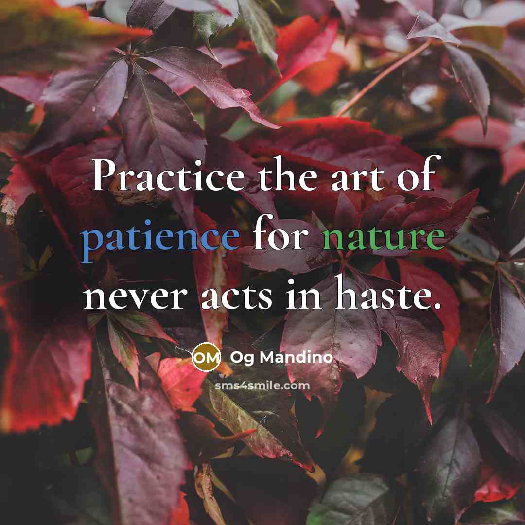 “Practice the art of patience for nature never acts in…” quote by Og Mandino