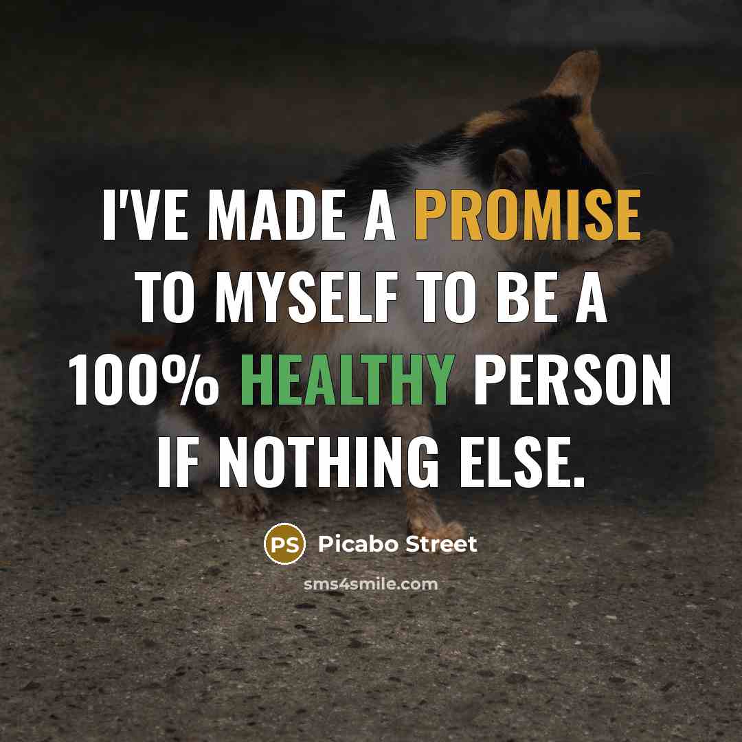 “I've made a promise to myself to be a 100%…” quote by Picabo Street