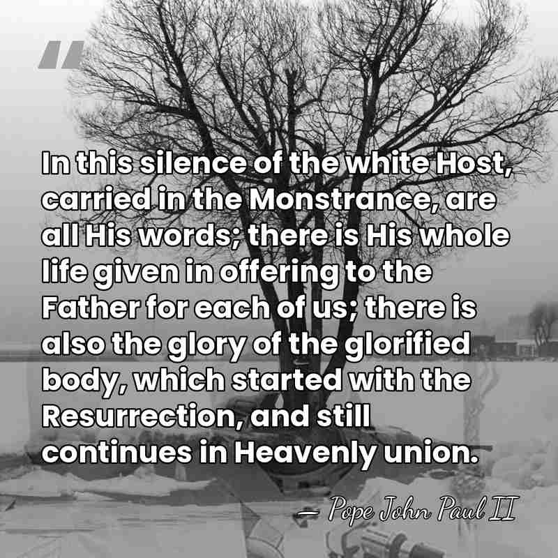 In this silence of the white Host, carried in the Monstrance, are&hellip; - Pope John Paul II