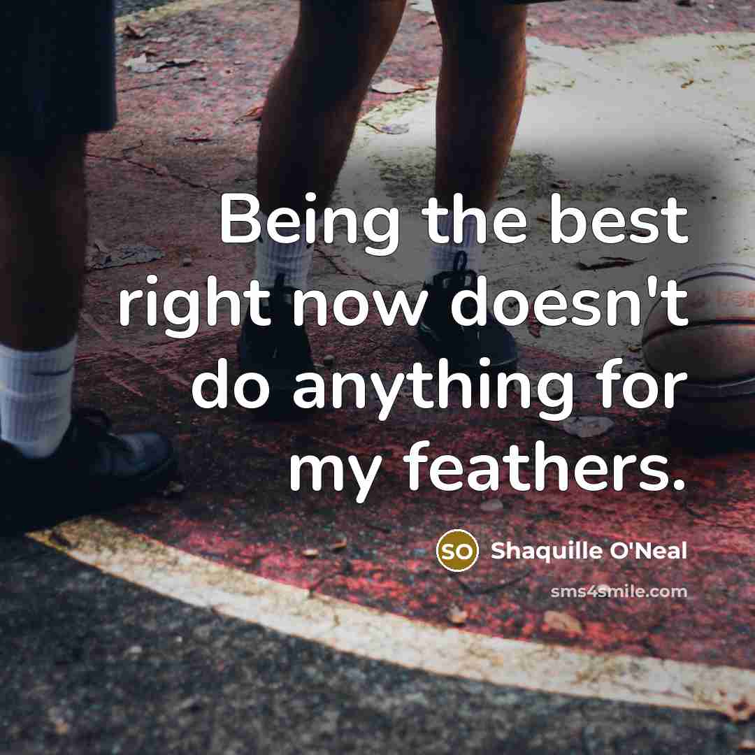“Being the best right now doesn't do anything for my…” quote by Shaquille O'Neal