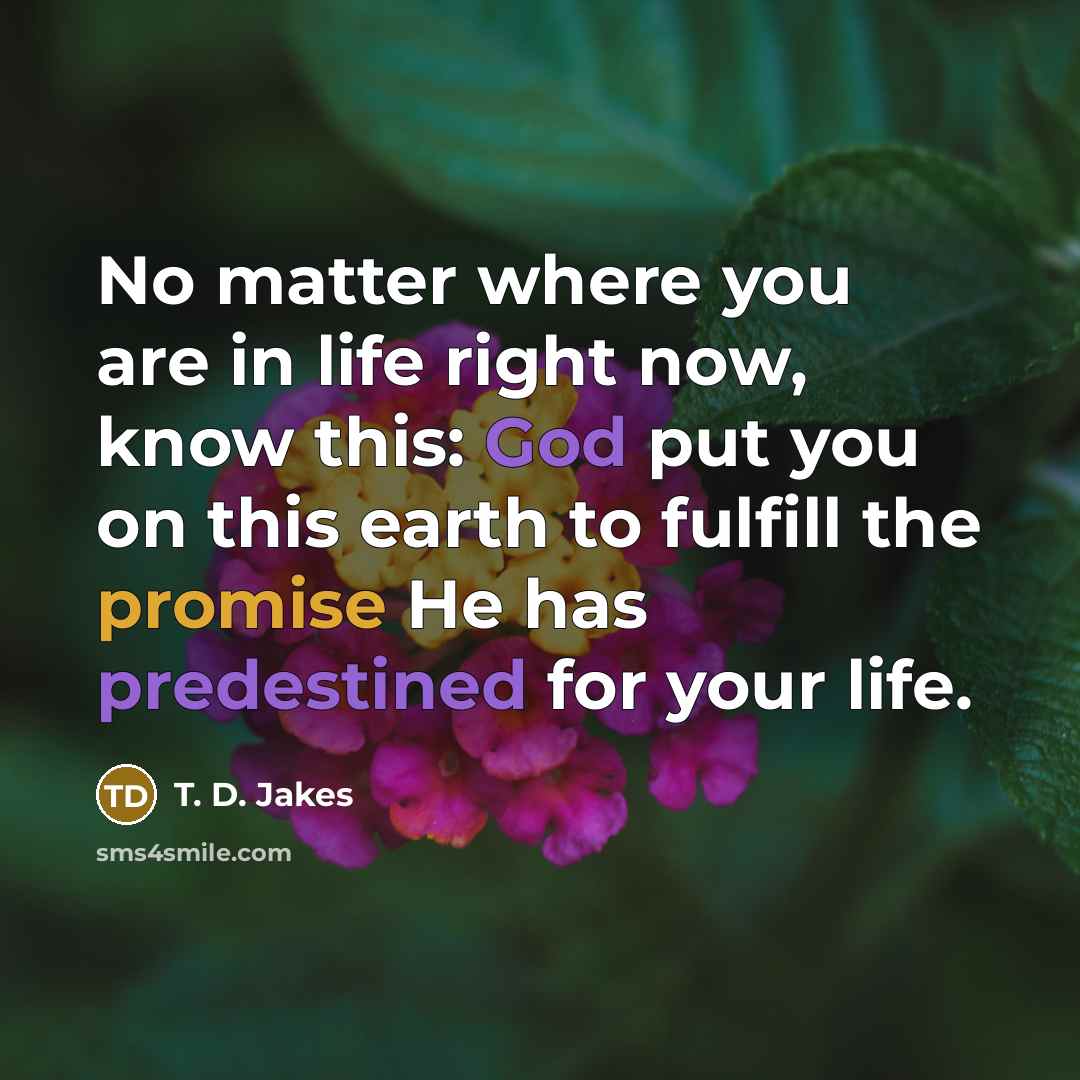 “No matter where you are in life right now, know…” quote by T. D. Jakes
