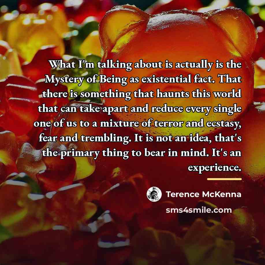 “What I'm talking about is actually is the Mystery of…” quote by Terence McKenna