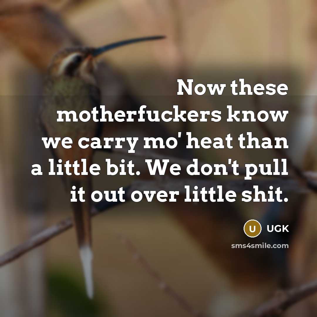 “Now these motherfuckers know we carry mo' heat than a little bit. We don't pull it out over little shit.” quote by UGK
