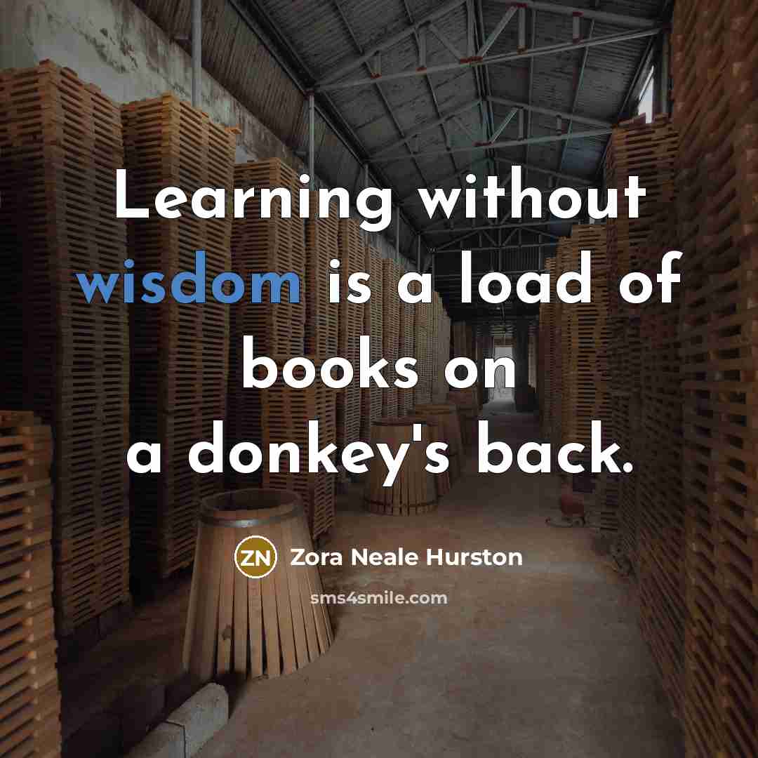 “Learning without wisdom is a load of books on a…” quote by Zora Neale Hurston
