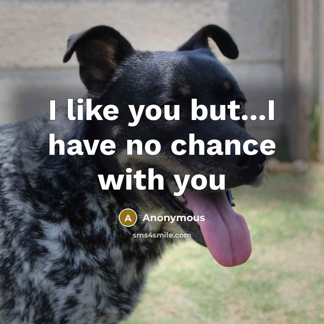 “I like you but...I have no chance with you” quote by Anonymous