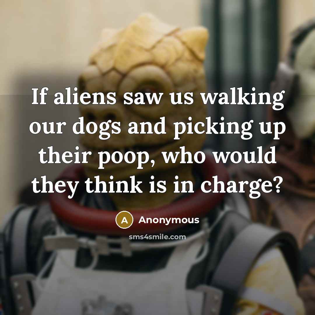 “If aliens saw us walking our dogs and picking up…” quote by Anonymous
