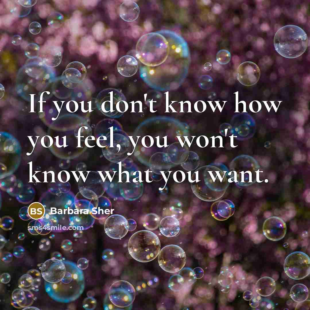 “If you don't know how you feel, you won't know…” quote by Barbara Sher