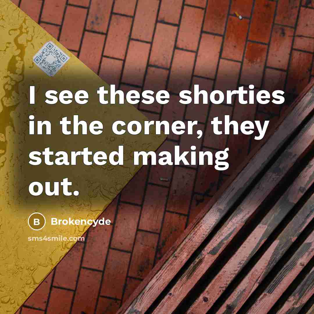 “I see these shorties in the corner, they started making…” quote by Brokencyde