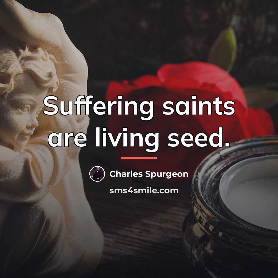 “Suffering saints are living seed.…” quote by Charles Spurgeon